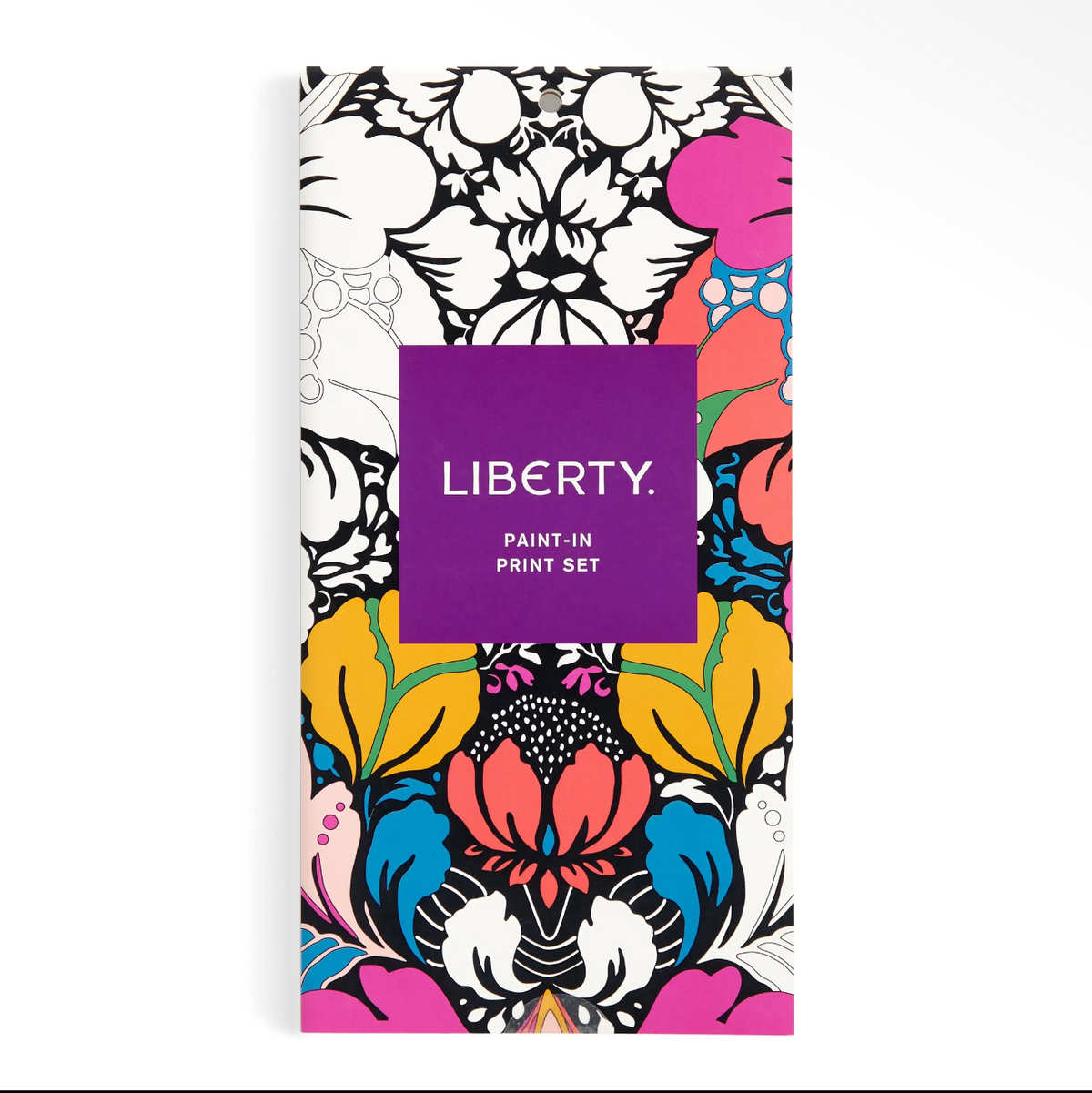 Liberty Painting Book