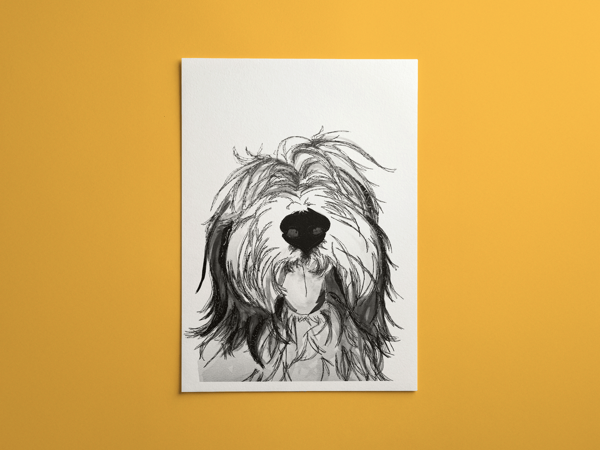 Bearded Collie print