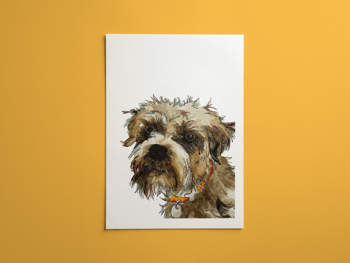 Border Terrier print, framed on a wall