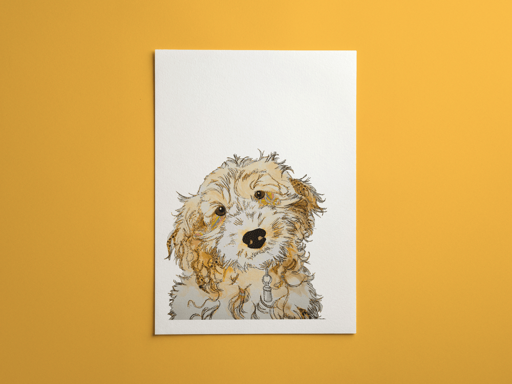Cockapoo print, framed on a wall