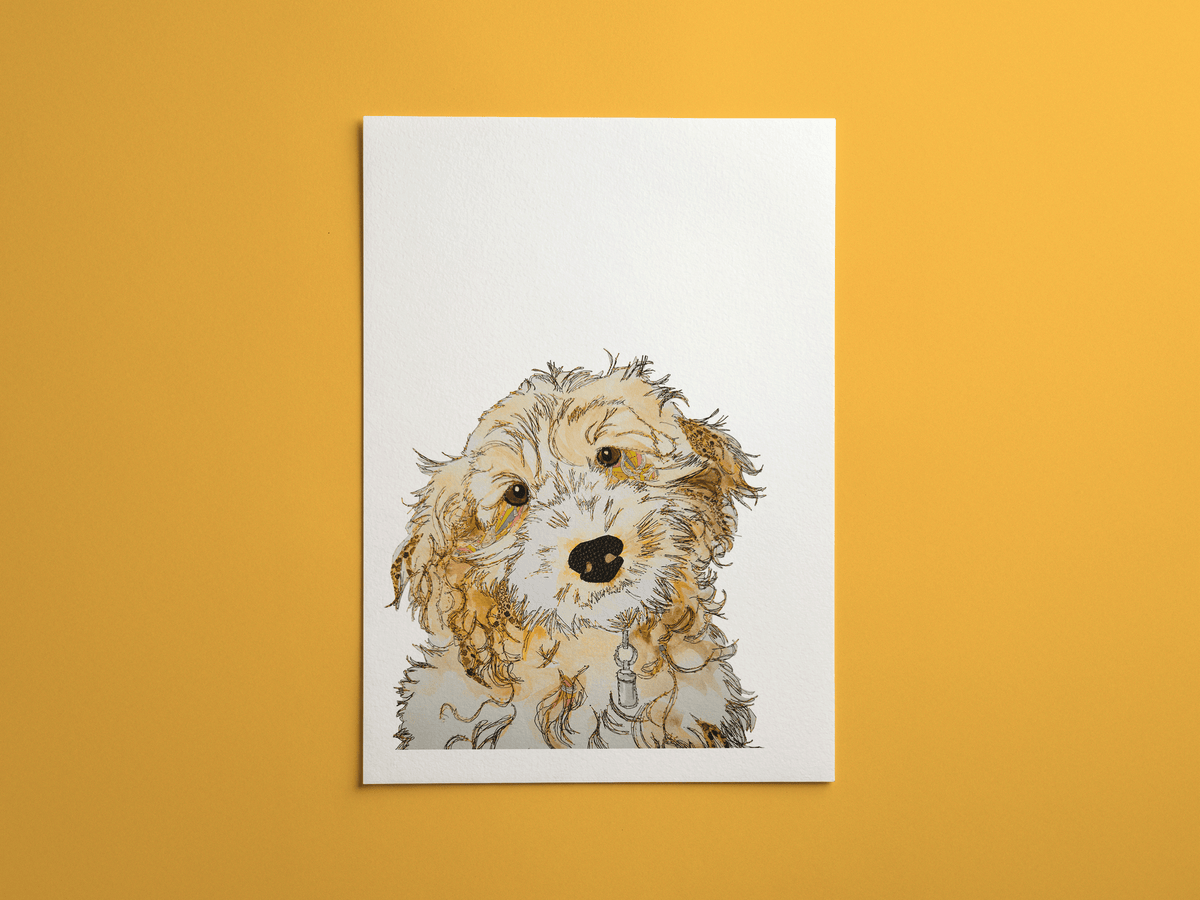 Cockapoo print, framed on a wall